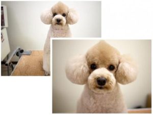 61-Corte-Cupcake-300x225.jpg
