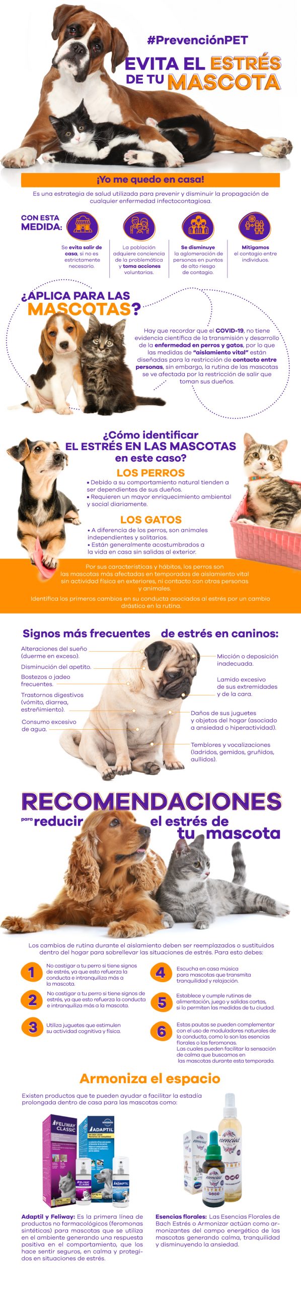 pevitar-estres-prevencionpet-pdm2-scaled.jpg
